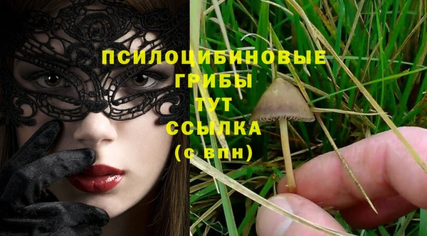 гашик Верхний Тагил